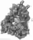 Fig. 02 - Modified template-independent DNA polymerase