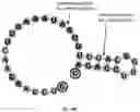 Fig. 197 - NOVEL CRISPR ENZYMES AND SYSTEMS