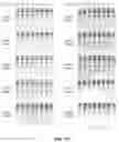Fig. 331 - NOVEL CRISPR ENZYMES AND SYSTEMS