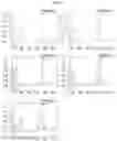 Fig. 02 - Recombinant vector comprising BiP fragment and preparation method of recombinant proteins using thereof