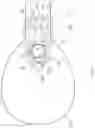 Fig. 03 - Pneumatically switched balloon light
