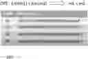Fig. 01 - Computing range queries over encrypted data