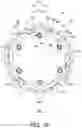Fig. 11 - Bicycle rear sprocket