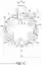 Fig. 12 - Bicycle rear sprocket