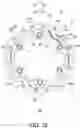 Fig. 13 - Bicycle rear sprocket