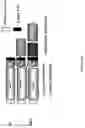 Fig. 02 - Compositions and methods for treating cancer