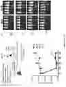 Fig. 06 - Compositions and methods for treating cancer