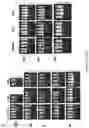 Fig. 19 - Compositions and methods for treating cancer