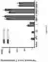 Fig. 20 - Compositions and methods for treating cancer