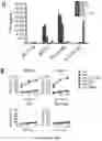 Fig. 27 - Compositions and methods for treating cancer