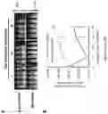 Fig. 32 - Compositions and methods for treating cancer
