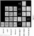 Fig. 36 - Compositions and methods for treating cancer