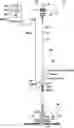 Fig. 01 - Apparatus for connecting drilling components between rig and riser