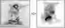 Fig. 01 - Composition for biotissue clearing and biotissue clearing method using same