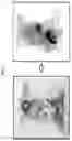 Fig. 02 - Composition for biotissue clearing and biotissue clearing method using same
