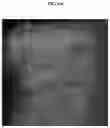 Fig. 13 - Composition for biotissue clearing and biotissue clearing method using same