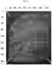 Fig. 16 - Composition for biotissue clearing and biotissue clearing method using same