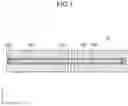 Fig. 02 - Display apparatus