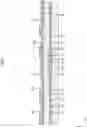 Fig. 10 - Display device