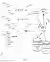 Fig. 08 - Determining transactional networks using transactional data