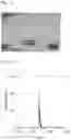 Fig. 09 - Sample plate for laser desorption/ionization mass spectrometry
