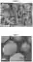 Fig. 04 - Positive electrode active material, positive electrode having the same and lithium secondary battery