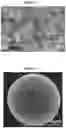 Fig. 08 - Positive electrode active material, positive electrode having the same and lithium secondary battery