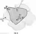 Fig. 04 - Cross-optimization in mobile networks