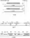 Fig. 08 - Method and apparatus for providing very high throughput operation and capability signaling for wireless communications