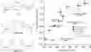 Fig. 01 - Nucleoside triphosphate transporter and uses thereof