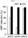 Fig. 04 - Nucleoside triphosphate transporter and uses thereof