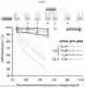 Fig. 09 - Nucleoside triphosphate transporter and uses thereof