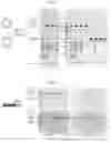 Fig. 17 - Nucleoside triphosphate transporter and uses thereof