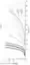 Fig. 18 - Nucleoside triphosphate transporter and uses thereof