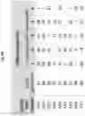 Fig. 19 - Nucleoside triphosphate transporter and uses thereof
