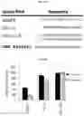 Fig. 22 - Nucleoside triphosphate transporter and uses thereof