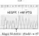 Fig. 23 - Nucleoside triphosphate transporter and uses thereof