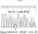 Fig. 24 - Nucleoside triphosphate transporter and uses thereof