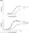Fig. 02 - Antibody variants