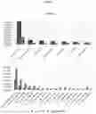 Fig. 07 - Method for diagnosing lymphoma via bacterial metagenomic analysis