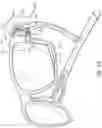 Fig. 05 - Eyewear lens interchange with magnetic latch