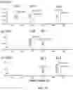 Fig. 31 - Method and apparatus for analyzing samples using mass spectrometry