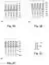 Fig. 03 - Method for introducing insulating film and at least one electrical conductor