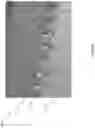 Fig. 26 - Planar high torque electric motor