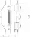 Fig. 03 - Driving circuit and driving method of stepping motor and electronic machine using the same