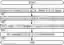 Fig. 01 - Active 1:N breakout cable