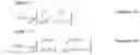 Fig. 137 - Transmission method, transmission device, reception method, and reception device