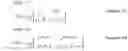 Fig. 140 - Transmission method, transmission device, reception method, and reception device