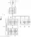 Fig. 02 - OPERATION METHOD OF STATION IN WIRELESS LOCAL AREA NETWORK
