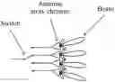 Fig. 01 - Data transmission method and apparatus